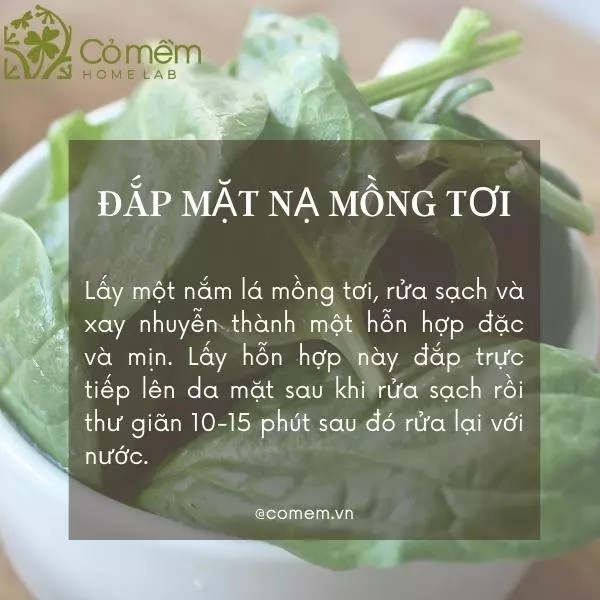 Nước cốt lá mồng tơi là một trong các loại mặt nạ thiên nhiên làm trắng da và dịu mát da