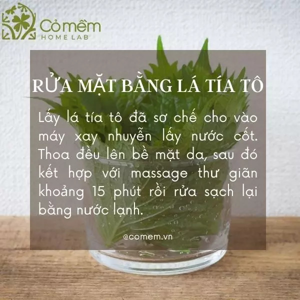 Nước cốt lá tía tô là một phương pháp làm đẹp da từ thiên nhiên giúp làm sáng và đều màu da