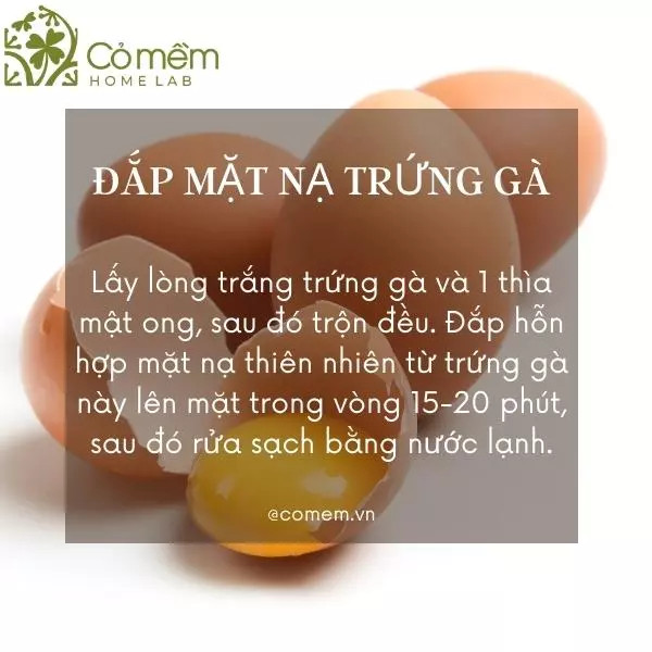 Lòng trắng trứng gà kết hợp mật ong giúp làm đẹp da tự nhiên, dưỡng trắng và se khít lỗ chân lông