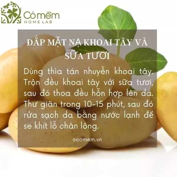 Hỗn hợp khoai tây luộc nghiền và sữa tươi là mặt nạ làm đẹp da từ thiên nhiên giúp da trắng sáng