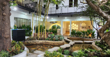 Hạ Spa với không gian xanh mát, tự nhiên, lý tưởng cho massage chân thư giãn tại Sài Gòn.