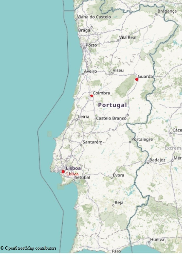 Bản đồ dẫn lối đến vẻ đẹp