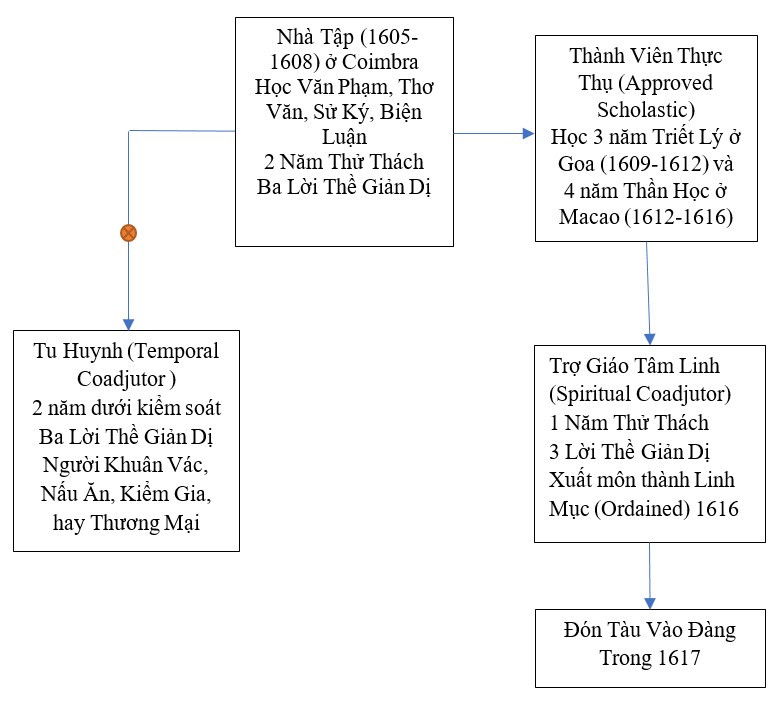 Sơ đồ phát triển kỹ năng chuyên sâu