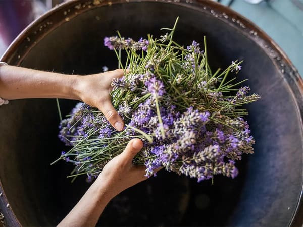 Bố trí tinh tế với nến thơm và hoa, tạo mùi hương thư giãn tối ưu cho không gian spa