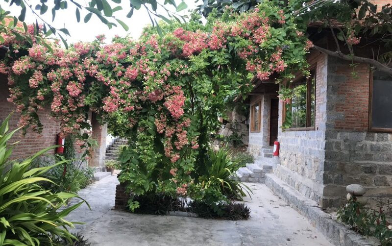 Bungalow hồ bơi riêng biệt tại Wild Beach Resort &amp; Spa Nha Trang với tầm nhìn biển tuyệt đẹp