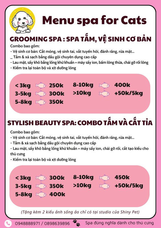 Các dịch vụ spa chó mèo tại Hà Nội bao gồm tắm và làm đẹp lông