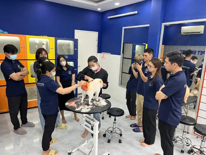 Đội ngũ nhân viên chuyên nghiệp tại spa thú cưng quận 7