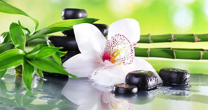 Hình ảnh trang trí spa đẹp với nội thất cao cấp