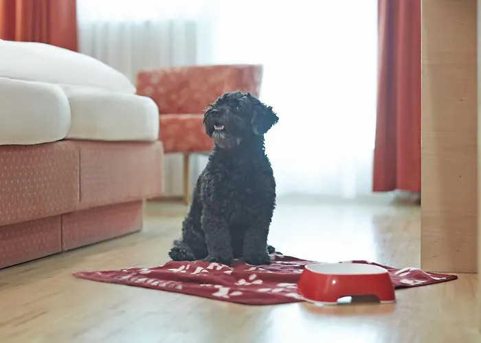 Hồ bơi vô cực Hotel Eberle