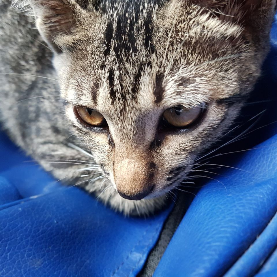 Khu vực làm móng hoặc phun xăm tại Thẩm Mỹ Midu Spa Thủ Đức