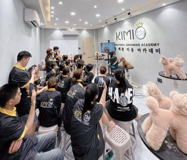 Kimi Pet - học viện và spa chó mèo Hà Nội với dịch vụ chất lượng