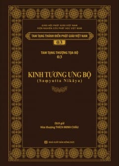 Kinh Tương Ưng Bộ - Tập 2, một phần khác của kinh điển Phật giáo