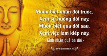 Làm sao để xóa bỏ những nghiệp quả xấu và tìm thấy sự bình an