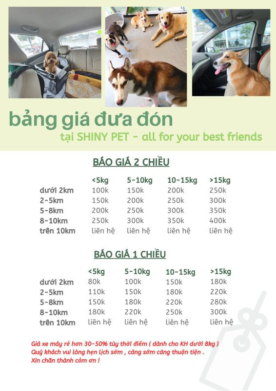 Liệu trình tắm massage thư giãn cho chó mèo tại các spa ở Hà Nội