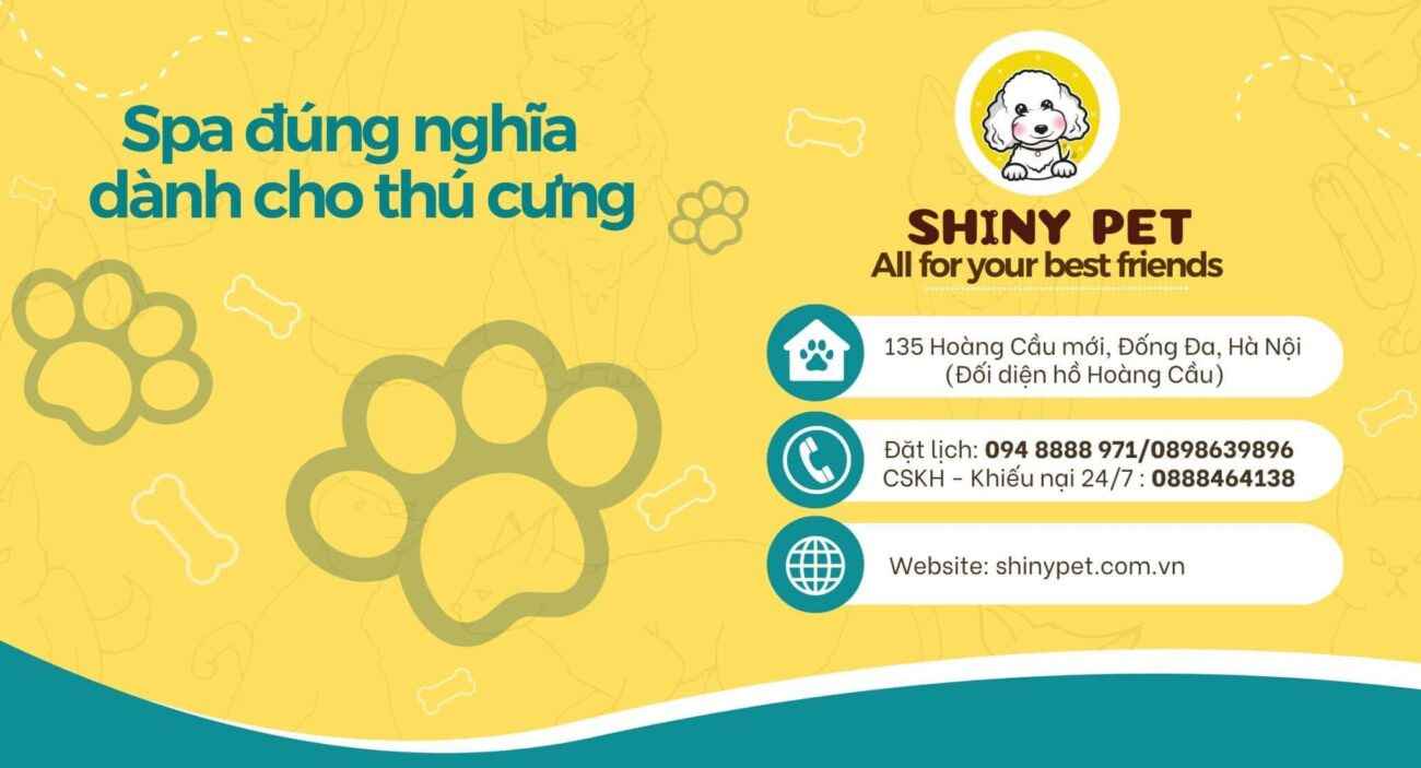 Shinypet - địa chỉ spa chó mèo Hà Nội uy tín với cơ sở vật chất hiện đại