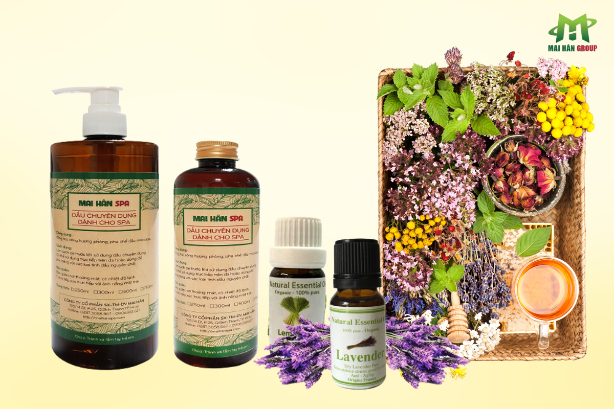Các loại dược liệu và mỹ phẩm tự nhiên được sử dụng phổ biến trong mô hình spa dưỡng sinh.