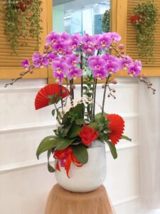 Chậu hoa lan hồ điệp tím sang trọng, món quà tặng khai trương spa ý nghĩa