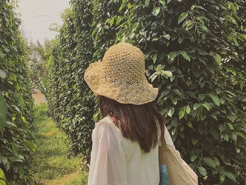 the shells resort &amp; spa phú quốc review về vườn tiêu phú quốc