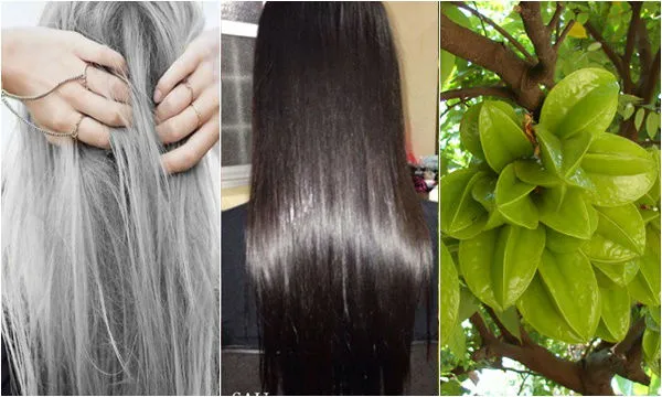 Hình ảnh những quả khế chua được cắt lát, dùng để chế biến hỗn hợp ủ tóc