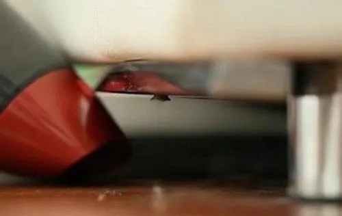 Máy hút bụi đứng và cầm tay, công cụ hữu hiệu nhất cho cách quét sạch tóc trên sàn nhà