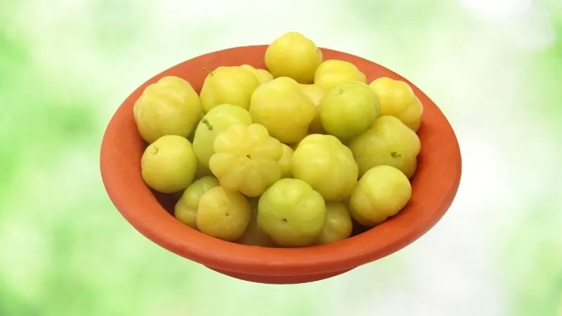 Cách chữa tóc bạc sớm bằng chùm ruột giàu vitamin C và chất chống oxy hóa