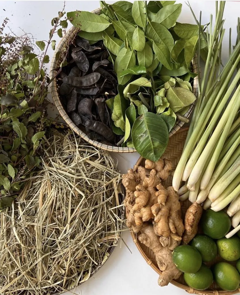 Nguyên liệu chính để nấu dầu gội Bồ Kết, Vỏ Bưởi trị rụng tóc tại nhà