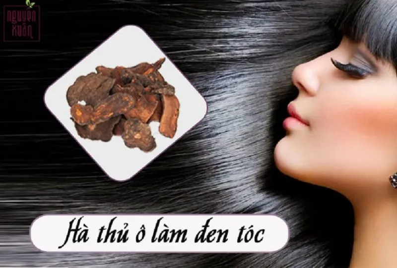 Hình ảnh minh họa một lọ dầu gội hoặc sản phẩm làm đen tóc có chứa chiết xuất từ củ Hà Thủ Ô