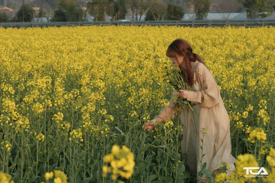 Tóc xoăn nhẹ với mái thưa, phong cách dịu dàng cho chụp kỷ yếu