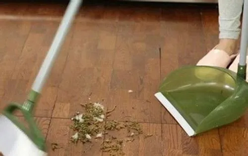 Sử dụng lá trà ướt để gom tóc và lông, mẹo vặt hiệu quả cho cách quét sạch tóc trên sàn nhà