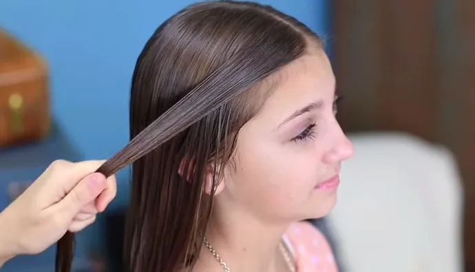 Hình ảnh lọn tóc được chải mượt và giữ cố định