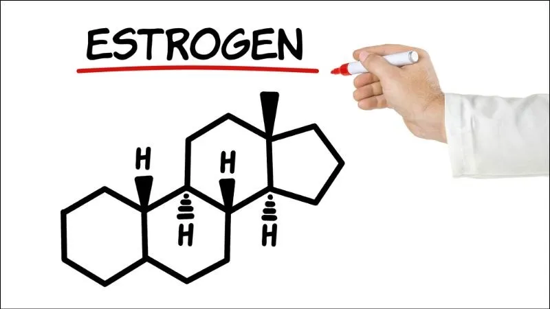 Giảm nồng độ estrogen sau sinh là nguyên nhân chính dẫn đến hiện tượng rụng tóc hàng loạt