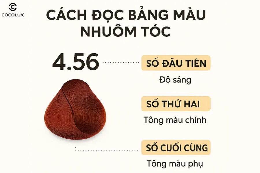Giải mã mã số màu nhuộm tóc quốc tế gồm cấp độ và sắc tố