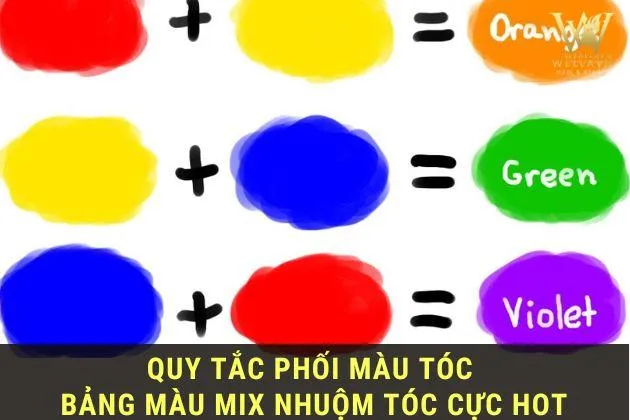 Biểu đồ ngôi sao màu cơ bản trong kỹ thuật phối màu tóc