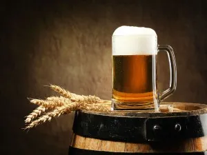 Gội đầu bằng hỗn hợp bia và dầu gội là một mẹo nhỏ trong cách chăm sóc tóc bấm