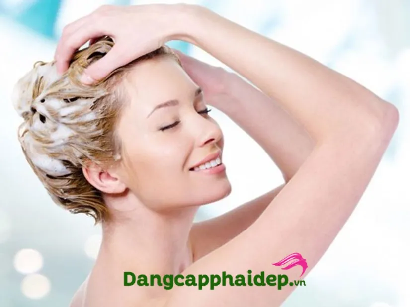 Luôn chọn dầu gội phù hợp với mái tóc của mình