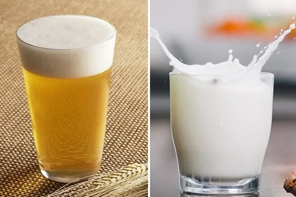 Hỗn hợp bia và sữa tươi, một công thức cách dùng bia ủ tóc giúp tăng cường độ ẩm cho tóc khô xơ và gãy rụng.