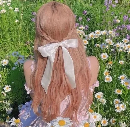 Minh họa kiểu tóc buộc nửa đầu đơn giản dành cho mái tóc dài suôn mượt