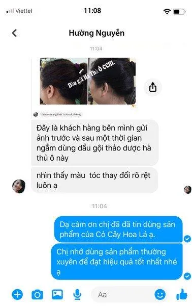 Khế chua và cách chữa tóc bạc sớm bằng khế chua