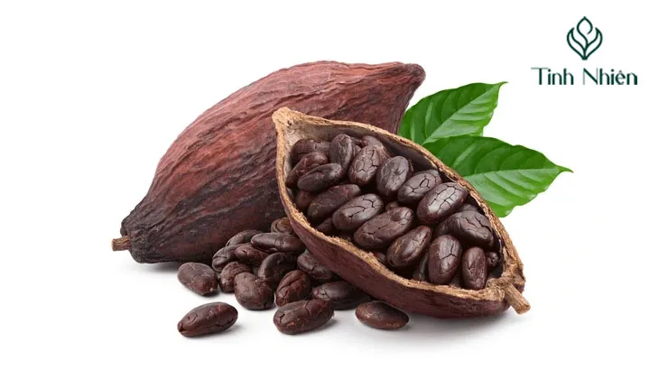 Sử dụng bột ca cao để làm tối màu tóc nhuộm