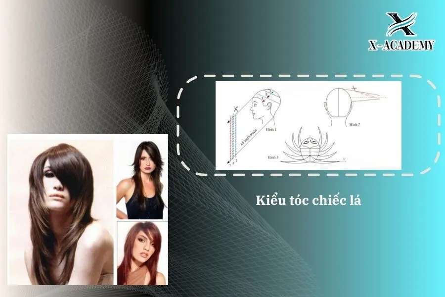 Kỹ thuật cắt tóc chiếc lá hiện đại với tầng cao và đuôi chữ V mỏng