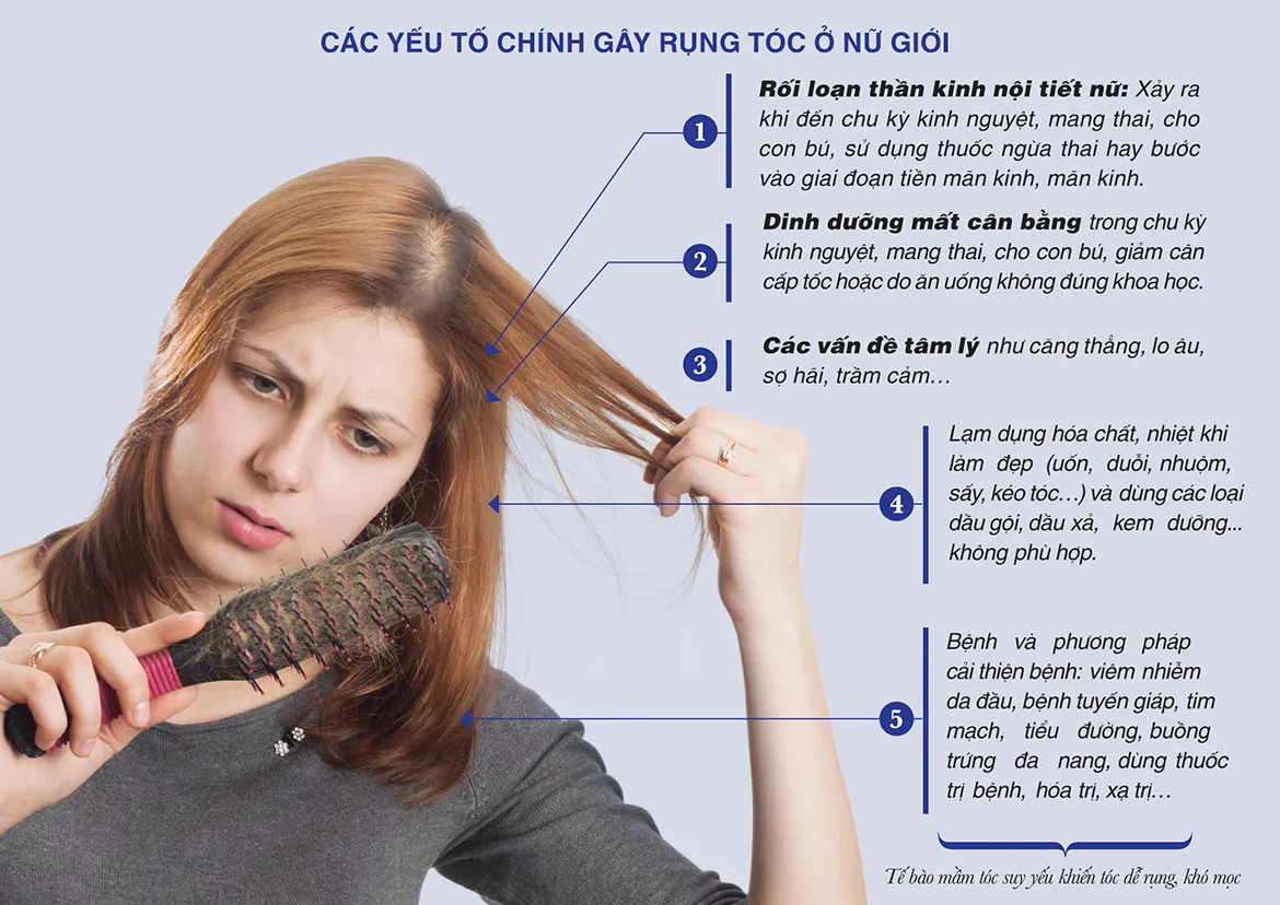 Các Yếu Tố Gây Rụng Tóc Ở Nữ Giới Ảnh Hưởng Đến Sự Phát Triển Của Tóc