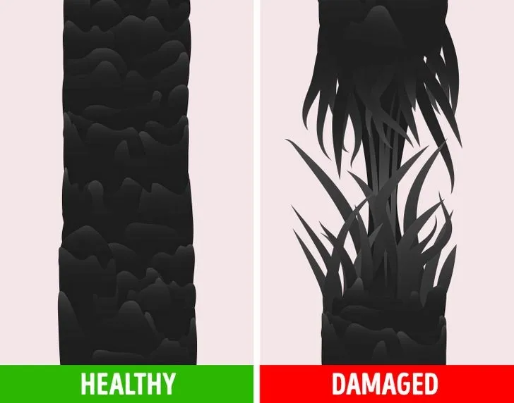 Dùng tay kéo căng nhẹ nhàng một sợi tóc ướt giúp kiểm tra độ đàn hồi, một chỉ số quan trọng để biết cách kiểm tra tóc yếu