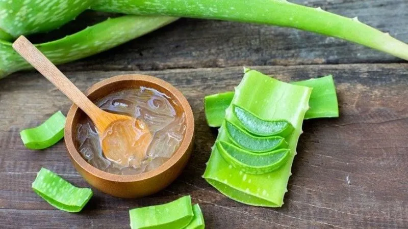 Nha đam giúp tóc chắc khỏe và kích thích mọc tóc.