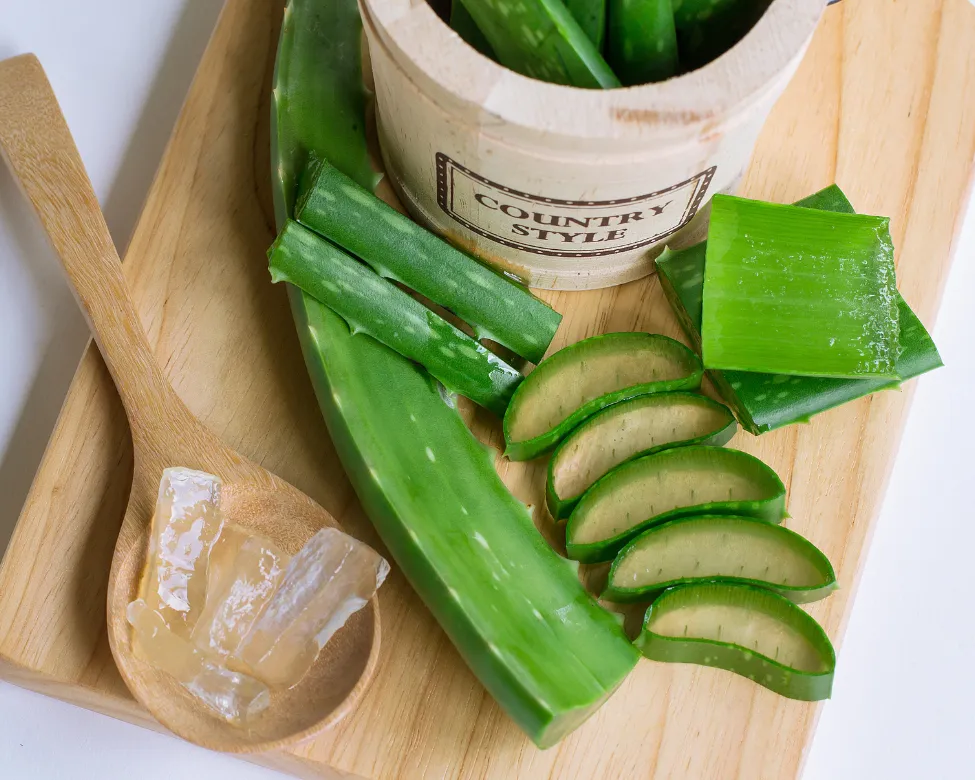 Nha Đam Là Một Cách Chữa Rụng Tóc Nhiều Ở Nữ Giới Tự Nhiên