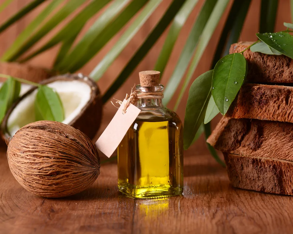 Tinh Dầu Dừa Giàu Vitamin E Giúp Kích Thích Và Nuôi Dưỡng Sợi Tóc Chắc Khỏe