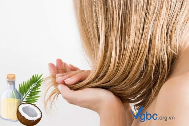 Cấu trúc sợi tóc được phục hồi sau khi dưỡng bằng dầu dừa