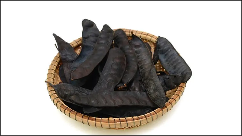 Quả bồ kết chín, già, có màu nâu sẫm thường chứa hàm lượng saponin cao nhất