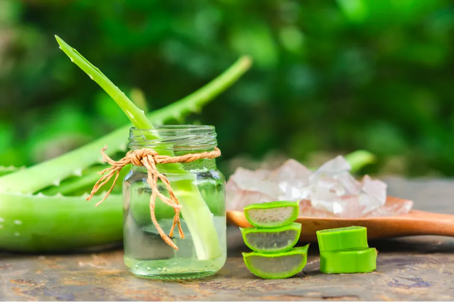 nha đam cân bằng lượng dầu thừa trên tóc và da đầu