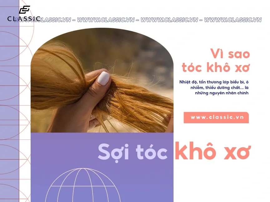 Cấu trúc tóc và độ bóng mượt