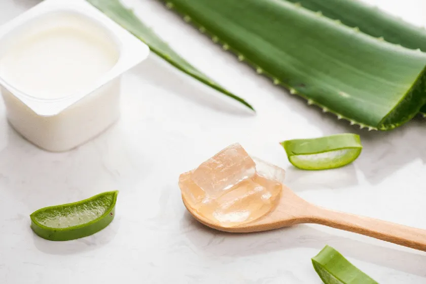 Hình ảnh một cô gái đang thoa gel nha đam lên tóc để dưỡng ẩm và giảm xoăn